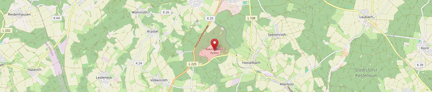 Eine Karte der Umgebung von Palenberg, Deutschland, markiert mit einer roten Standortnadel. Die umliegenden Städte und Straßennummern wie Übach, Herzogenrath und Kasselrath sind in der grünen und hellbraunen Landschaft zu sehen.